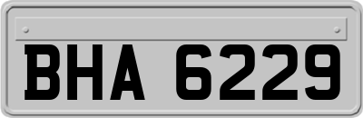 BHA6229