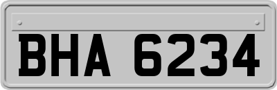 BHA6234