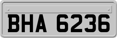 BHA6236