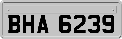 BHA6239