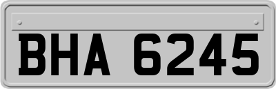 BHA6245