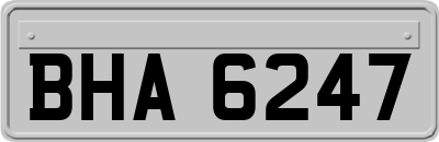 BHA6247