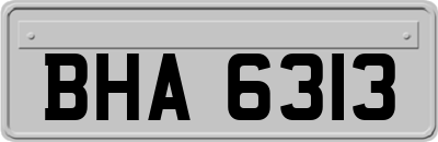 BHA6313