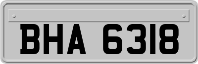 BHA6318