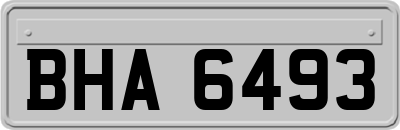 BHA6493