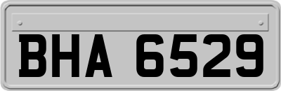 BHA6529