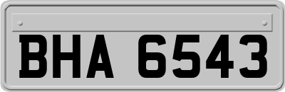 BHA6543