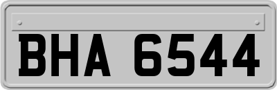 BHA6544