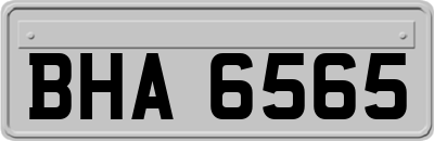 BHA6565