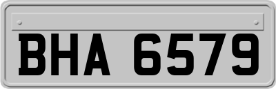 BHA6579