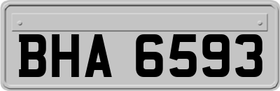 BHA6593