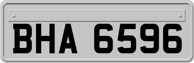BHA6596