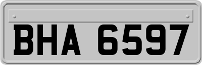 BHA6597