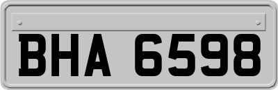 BHA6598