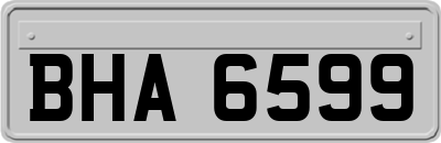 BHA6599