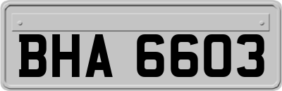 BHA6603