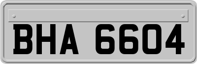 BHA6604