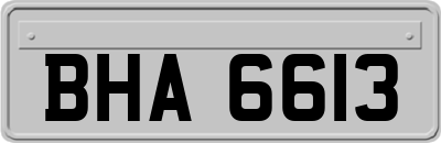 BHA6613