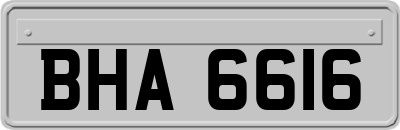BHA6616