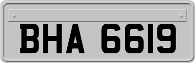 BHA6619