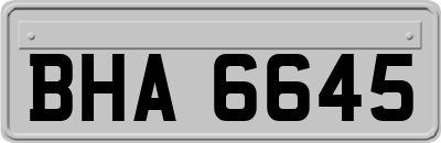 BHA6645