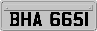 BHA6651