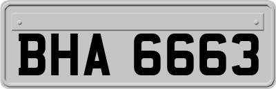 BHA6663