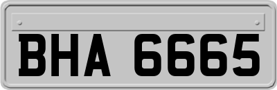 BHA6665