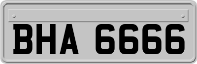 BHA6666
