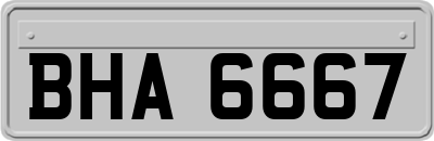 BHA6667