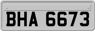 BHA6673