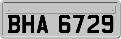 BHA6729