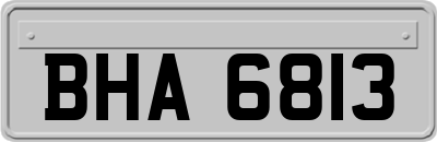 BHA6813