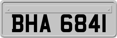 BHA6841