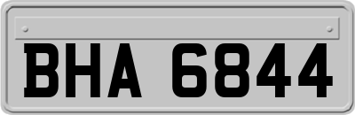 BHA6844