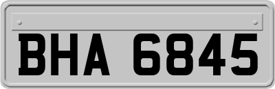 BHA6845