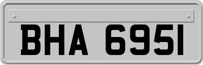BHA6951