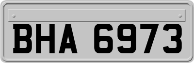 BHA6973