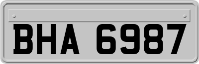 BHA6987