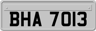 BHA7013