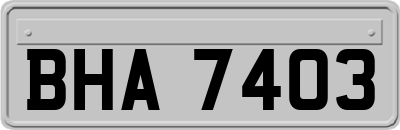 BHA7403