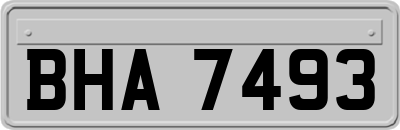 BHA7493