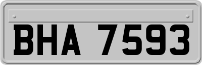 BHA7593