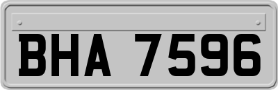 BHA7596