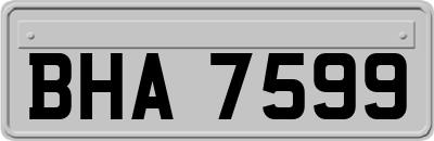 BHA7599