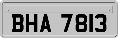 BHA7813