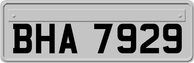 BHA7929