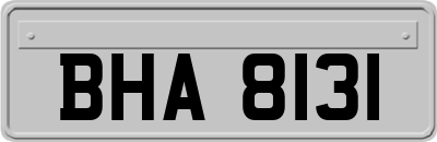 BHA8131