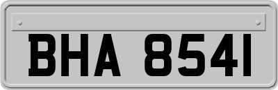 BHA8541