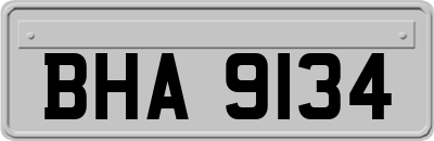 BHA9134